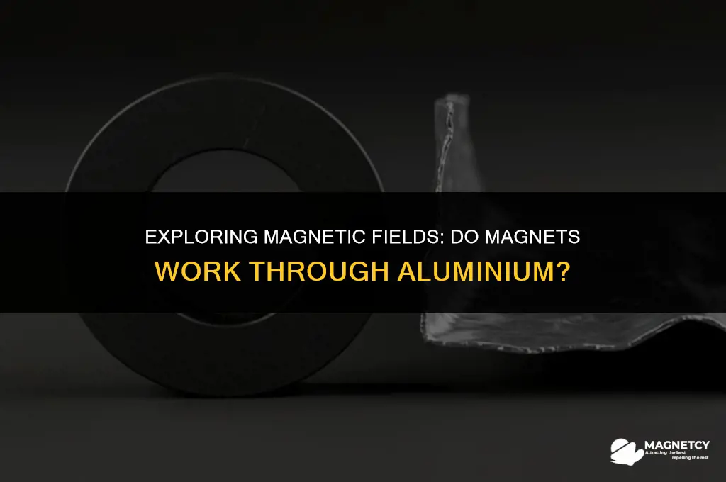 do magnets work through aluminium