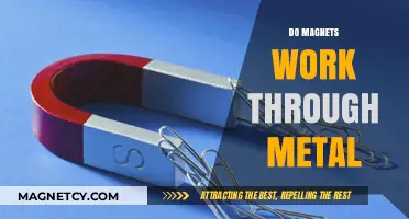 Exploring Magnetic Fields: Do Magnets Work Through Metal?