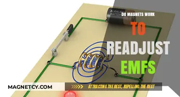 Exploring the Science: Can Magnets Really Readjust EMFs?