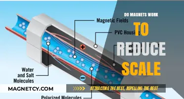 Exploring the Myth: Can Magnets Really Reduce Scale Buildup?