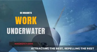 Exploring the Depths: Do Magnets Retain Their Power Underwater?