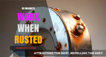 Exploring the Effects of Rust on Magnetism: A Comprehensive Guide