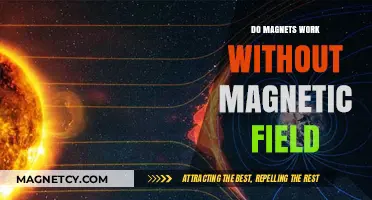 Exploring Magnetism: Can Magnets Function Without a Magnetic Field?