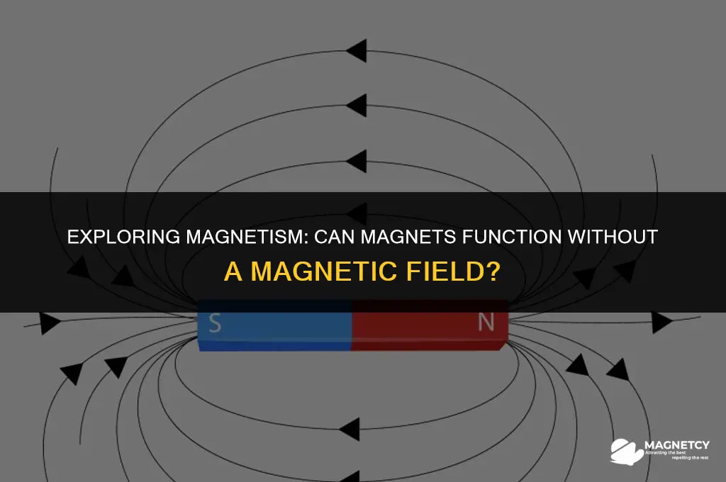 do magnets work without magnetic field