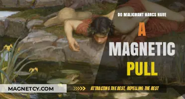 The Enigmatic Allure: Understanding the Magnetic Pull of Malignant Narcissists