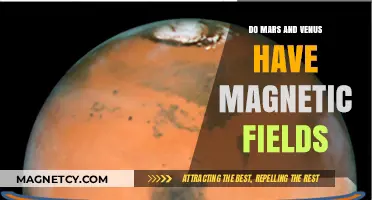 Exploring the Magnetic Mysteries of Mars and Venus