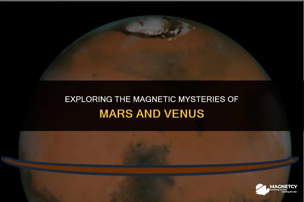 do mars and venus have magnetic fields