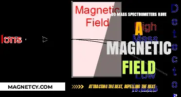 Exploring the Magnetic Realm: Do Mass Spectrometers Utilize Magnetic Fields?