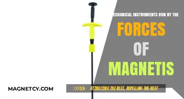 Exploring the Magnetic Forces Powering Mechanical Instruments