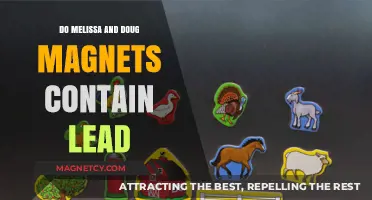 Unveiling the Truth: Do Melissa and Doug Magnets Contain Lead?