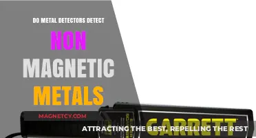 Unveiling the Truth: Can Metal Detectors Spot Non-Magnetic Metals?