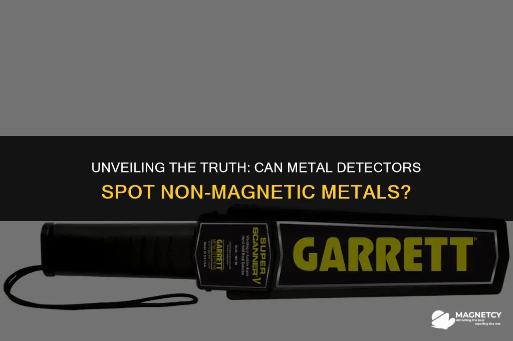 do metal detectors detect non magnetic metals