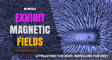 Unveiling the Magnetic Mysteries of Metals: A Comprehensive Guide