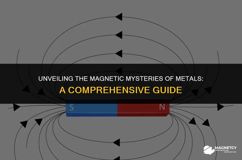 do metals exhibit magnetic fields