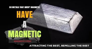 Exploring the Magnetic Properties of Non-Magnetic Metals