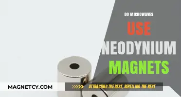 Microwaves and Neodymium Magnets: Unveiling the Hidden Components