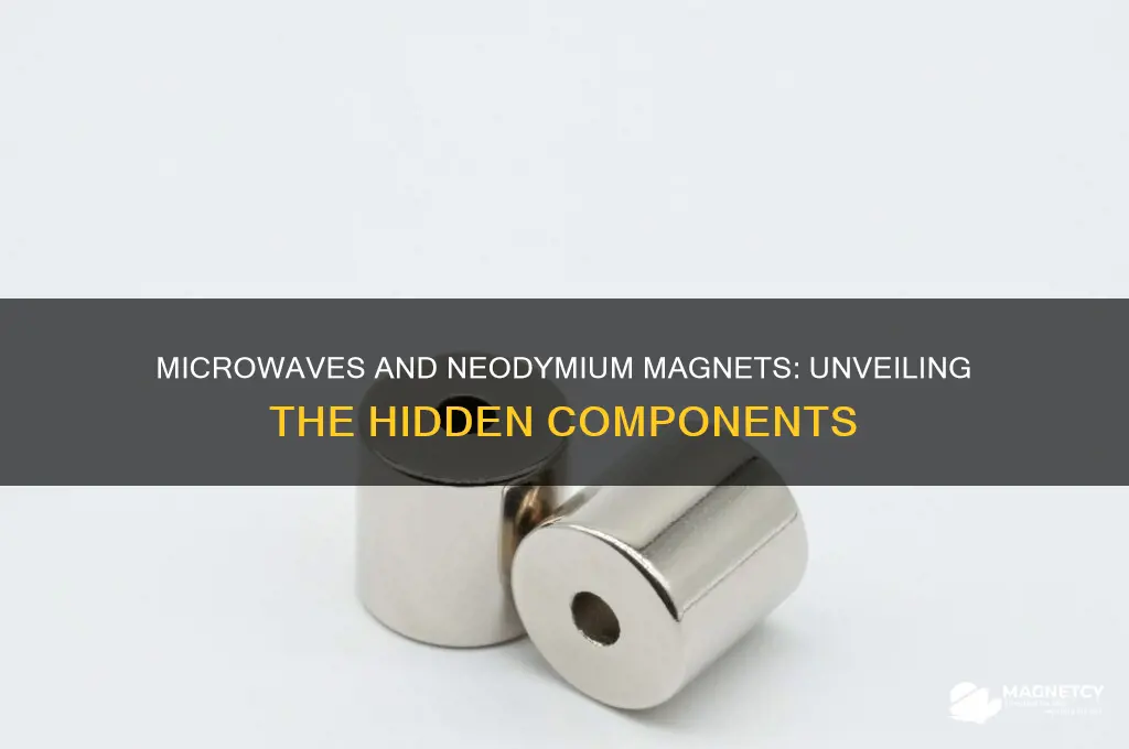 do microwaves use neodynium magnets