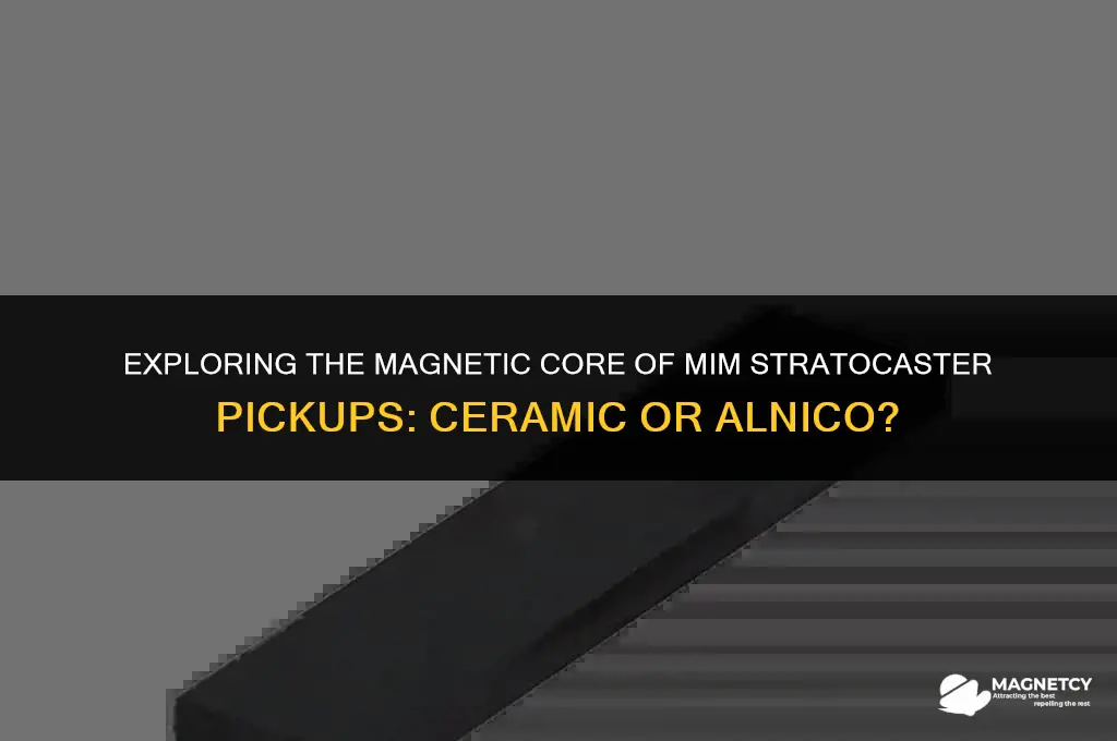 do mim stratocaster pickups have ceramic or alnico magnets