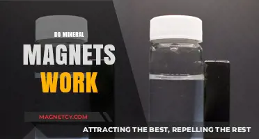 Unveiling the Truth: Do Mineral Magnets Really Work?