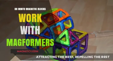 Exploring Compatibility: Minto Magnetic Blocks and Magformers