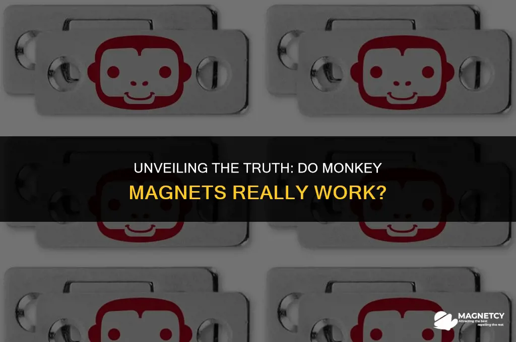 do monkey magnets really work