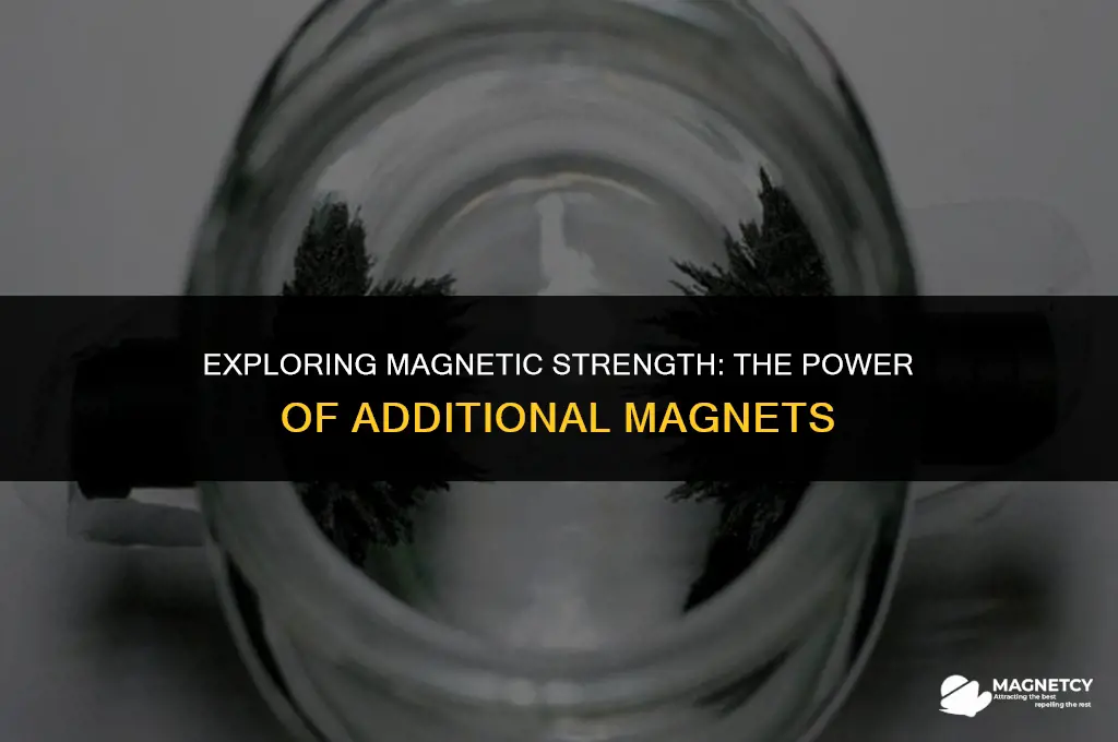 do more magnets make it stronger