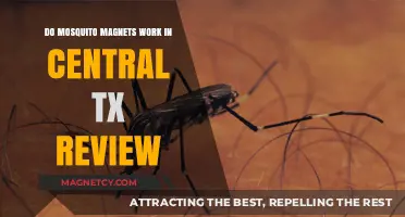 Exploring the Effectiveness of Mosquito Magnets in Central Texas