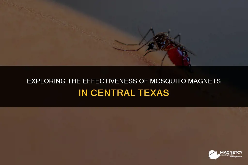 do mosquito magnets work in central tx review