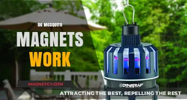 Decoding the Myth: Do Mosquito Magnets Really Work?