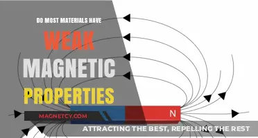 Exploring the Magnetic Properties of Everyday Materials
