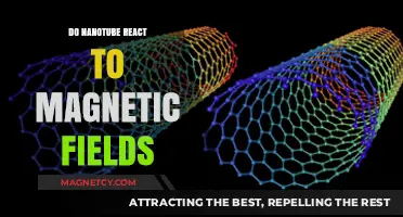 Exploring Nanotube Responses to Magnetic Fields: A Scientific Inquiry