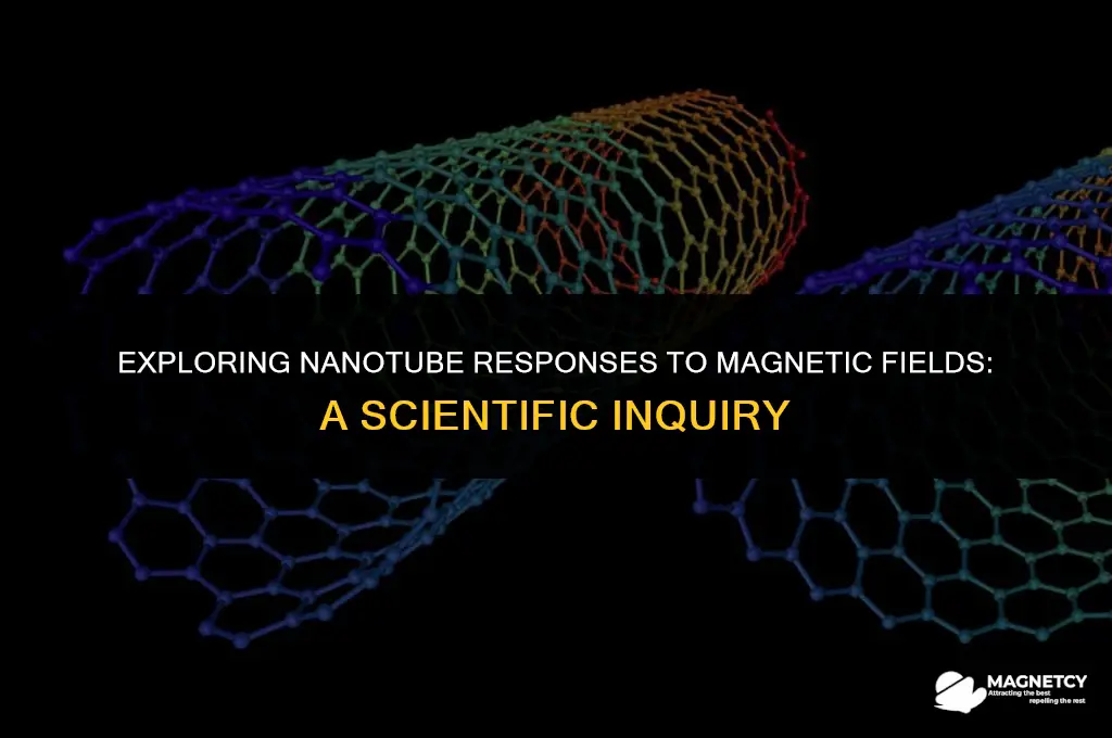 do nanotube react to magnetic fields