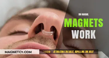 Exploring the Truth: Do Nasal Magnets Really Work?