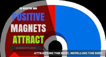 Do Opposites Attract? Exploring Negative and Positive Magnet Interactions