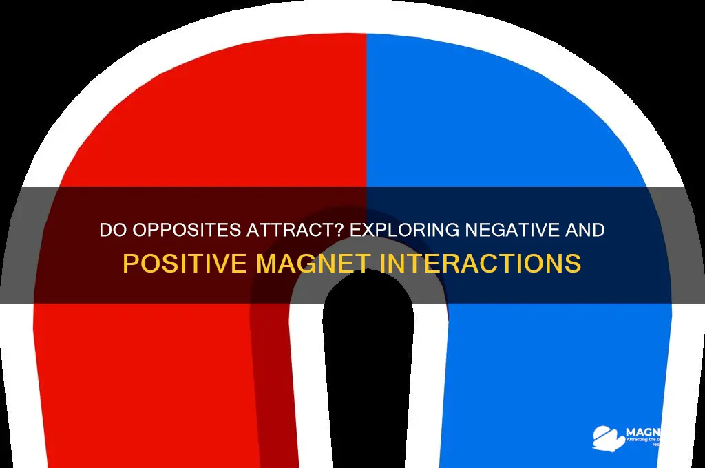 do negative and positive magnets attract