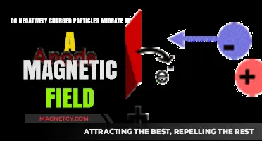 Exploring the Migration of Negatively Charged Particles in Magnetic Fields