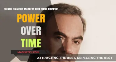 The Eternal Grip: Do Neil Diamond Magnets Weaken with Time?