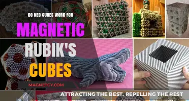 Exploring the Compatibility of Neo Cubes with Magnetic Rubik's Cubes