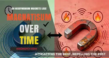 The Longevity of Neodymium Magnets: Do They Really Lose Magnetism?