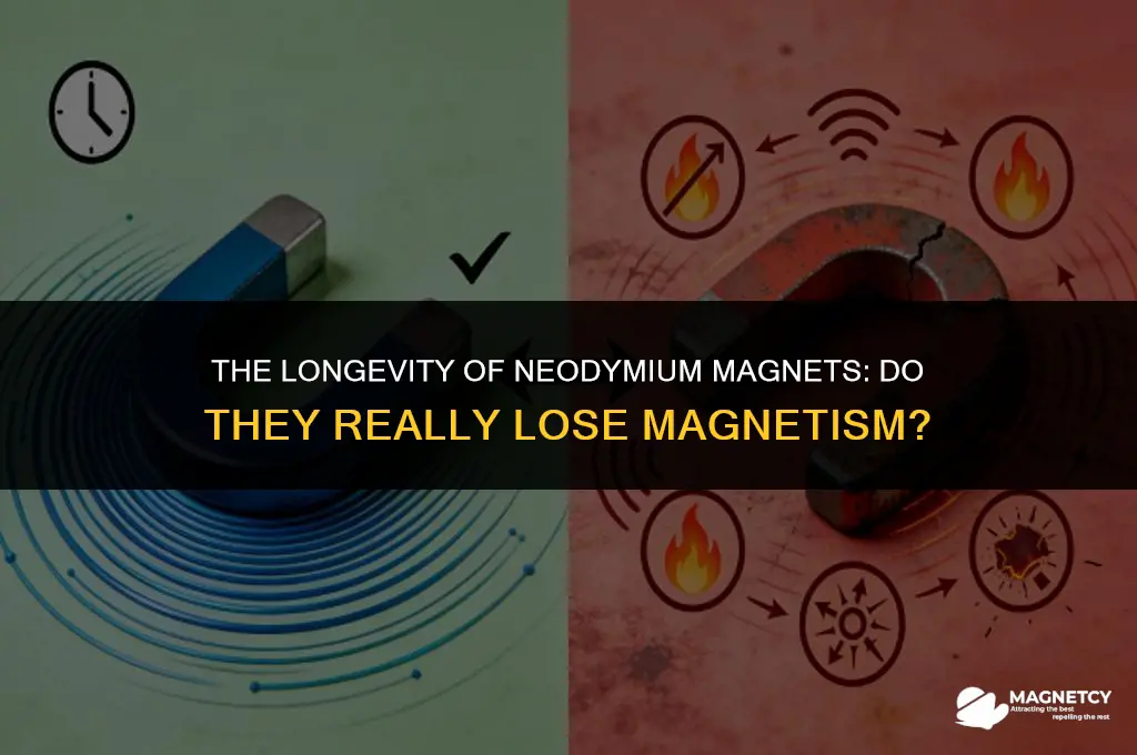 do neodyminium magnets lose magnatisum over time