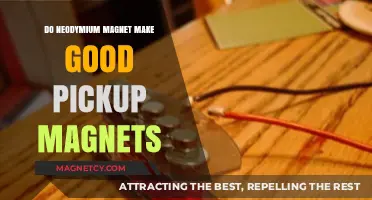 Exploring Neodymium Magnets: Are They Ideal for Pickup Applications?