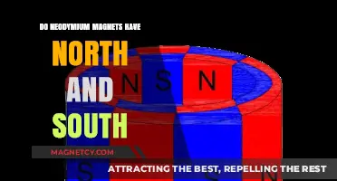 Exploring Magnetism: Do Neodymium Magnets Have North and South Poles?