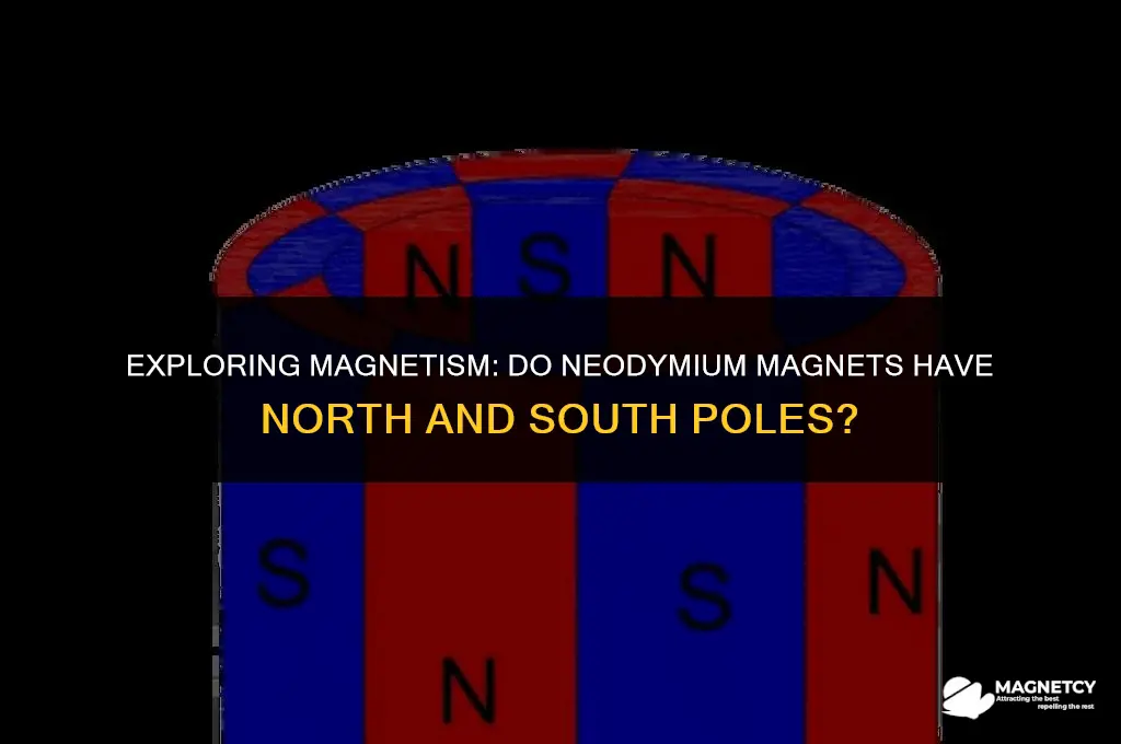 do neodymium magnets have north and south
