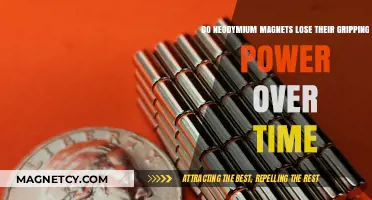The Longevity of Neodymium Magnets: Do They Weaken Over Time?
