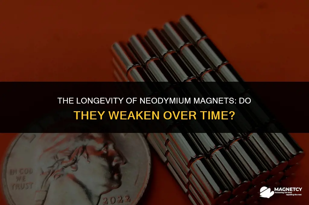 do neodymium magnets lose their gripping power over time