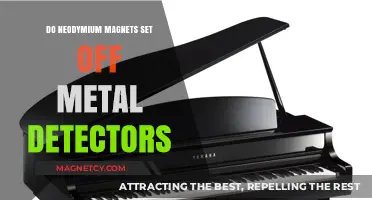 Will Neodymium Magnets Trigger Metal Detectors: A Definitive Guide
