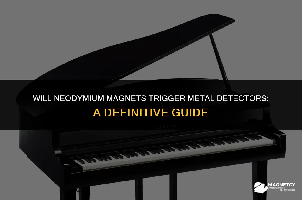 do neodymium magnets set off metal detectors