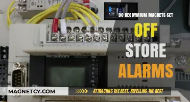 Will Neodymium Magnets Trigger Store Alarms? Facts and Myths