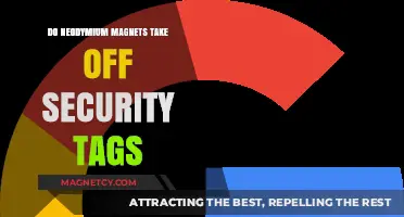 Demystifying Security Tags: The Truth About Neodymium Magnets