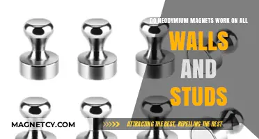 Exploring Neodymium Magnets: Universal Wall and Stud Compatibility?